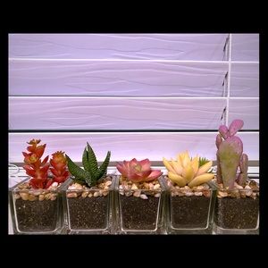 Cute cactus fake plants